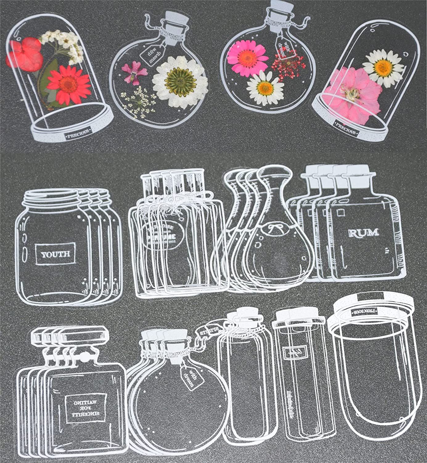 30Pcs DIY Transparent Dried Fl - Dried Flower Bookmark reseña y precio