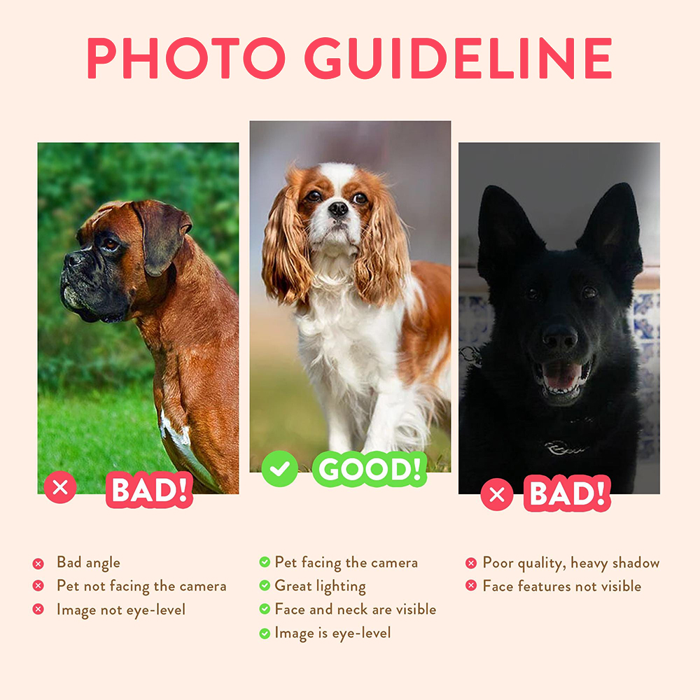 Personalized Pet Portraits Pho - Pet Portrait Custom reseña y precio