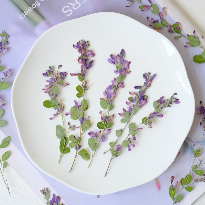 6pcs,nature Lespedeza Formosa  - Dried Flower Bookmark reseña y precio