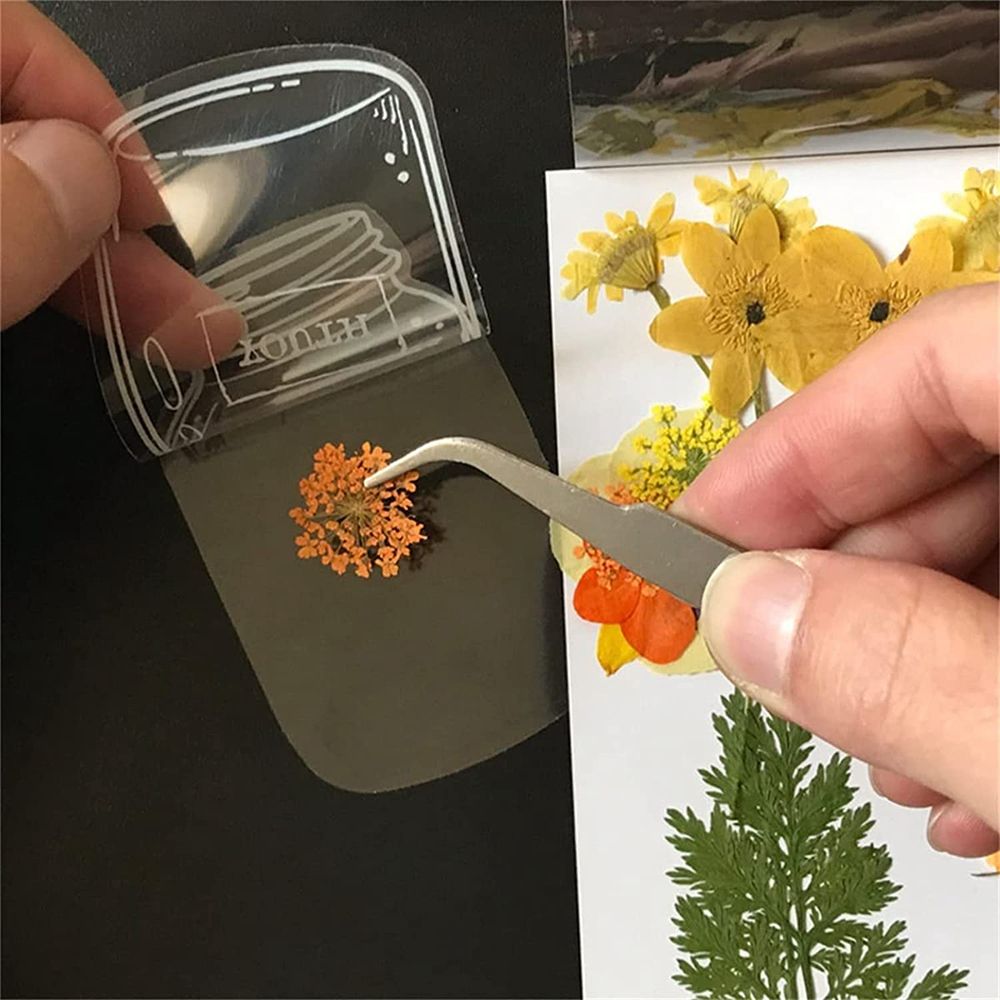 30Pcs Handmade DIY Transparent - Dried Flower Bookmark reseña y precio