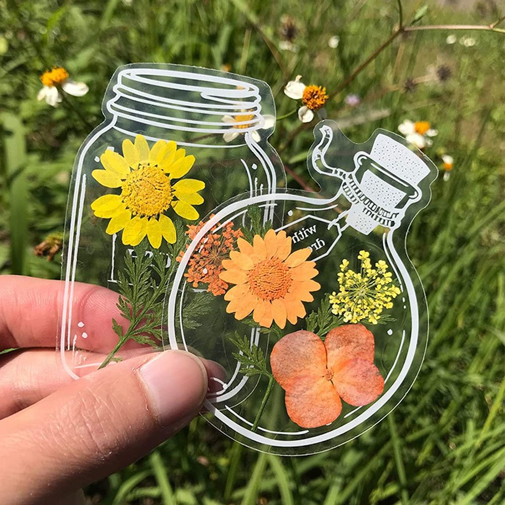 30Pcs Handmade DIY Transparent - Dried Flower Bookmark reseña y precio