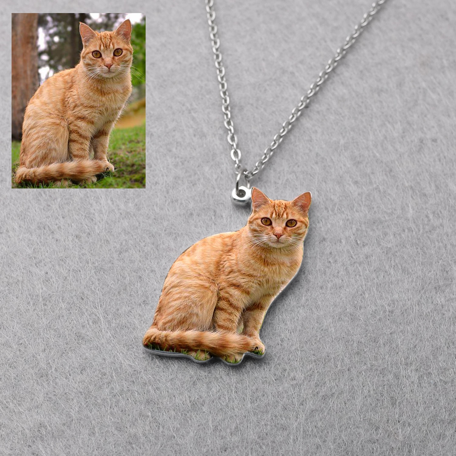 Personalized Pet Picture Neckl - Pet Portrait Custom reseña y precio