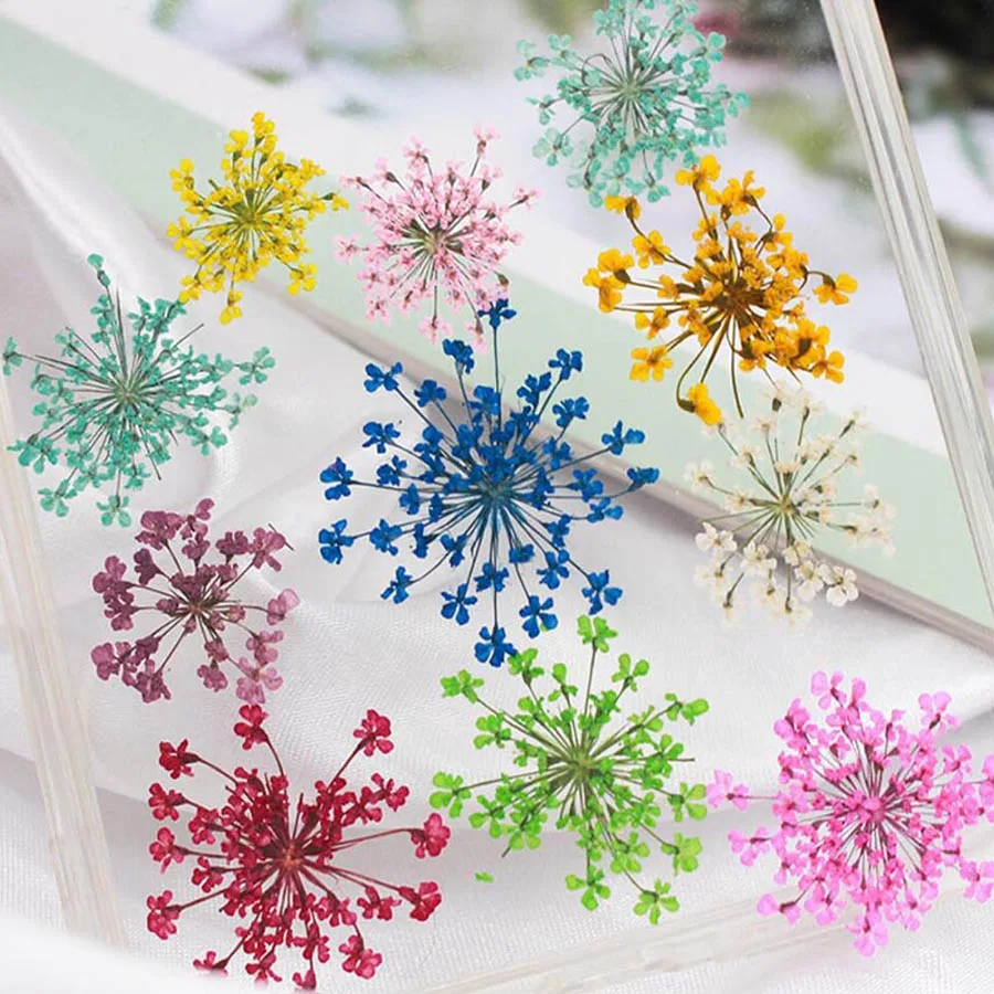 60pcs Pressed Dried 20-25mm Am - Dried Flower Bookmark reseña y precio