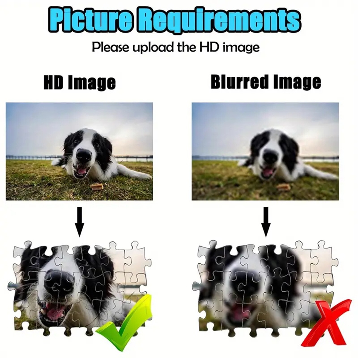 35/300/500/1000pcs Personalize - Pet Portrait Custom reseña y precio