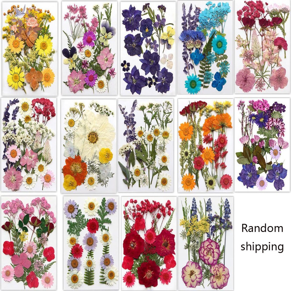 Handmade Pressed Dried Flowers - Dried Flower Bookmark reseña y precio
