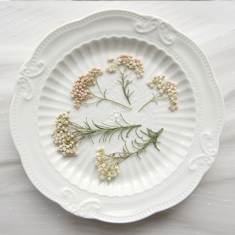 12pcs,Nature Millet flower bra - Dried Flower Bookmark reseña y precio