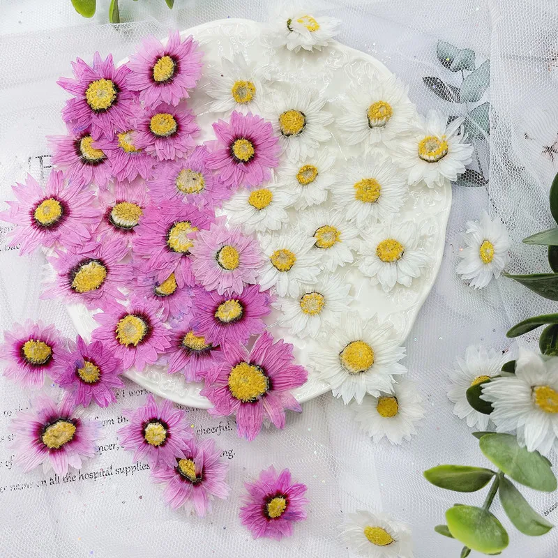24pcs/2-4CM,Natural Pressed Fl - Dried Flower Bookmark reseña y precio