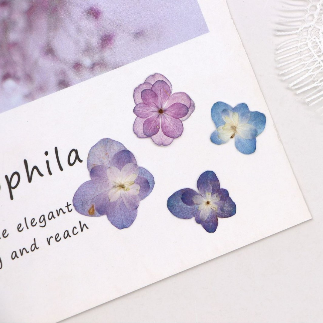 60Pcs Mini Double-Flowered Hyd - Dried Flower Bookmark reseña y precio