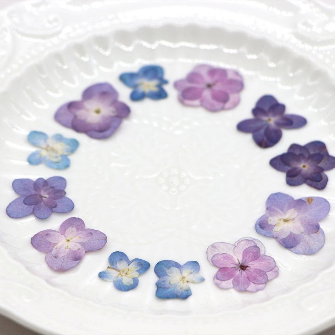 60Pcs Mini Double-Flowered Hyd - Dried Flower Bookmark reseña y precio