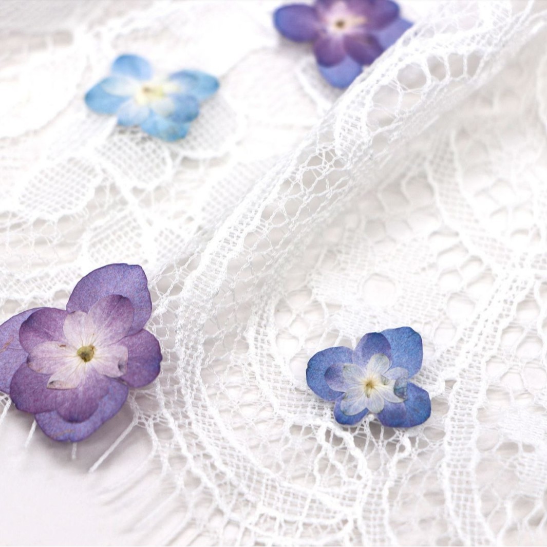 60Pcs Mini Double-Flowered Hyd - Dried Flower Bookmark reseña y precio